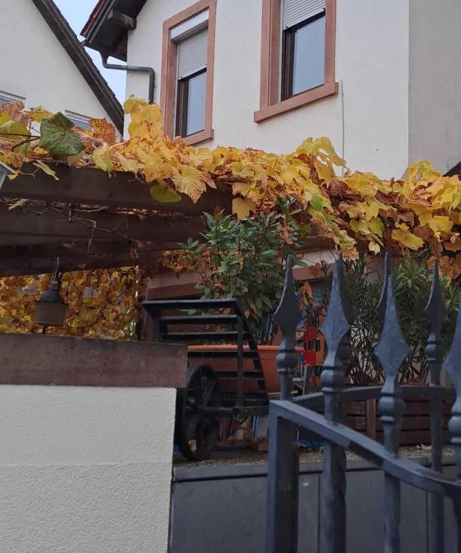 Idyllisches Witch'Shaeuschen Apartment Heidelberg Germany
